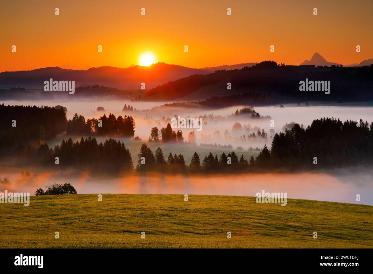 Blick über das Hochmoor Rothenthurm bei Sonnenaufgang im Kanton Schyz, Schweiz Stockfoto