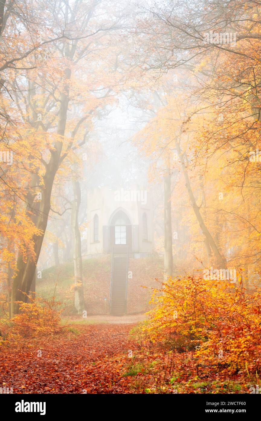 Wanderweg im Nebel im bunten Herbstwald mit Blick auf ein altes Teehaus am Ende, Heemstede, Niederlande. Stockfoto