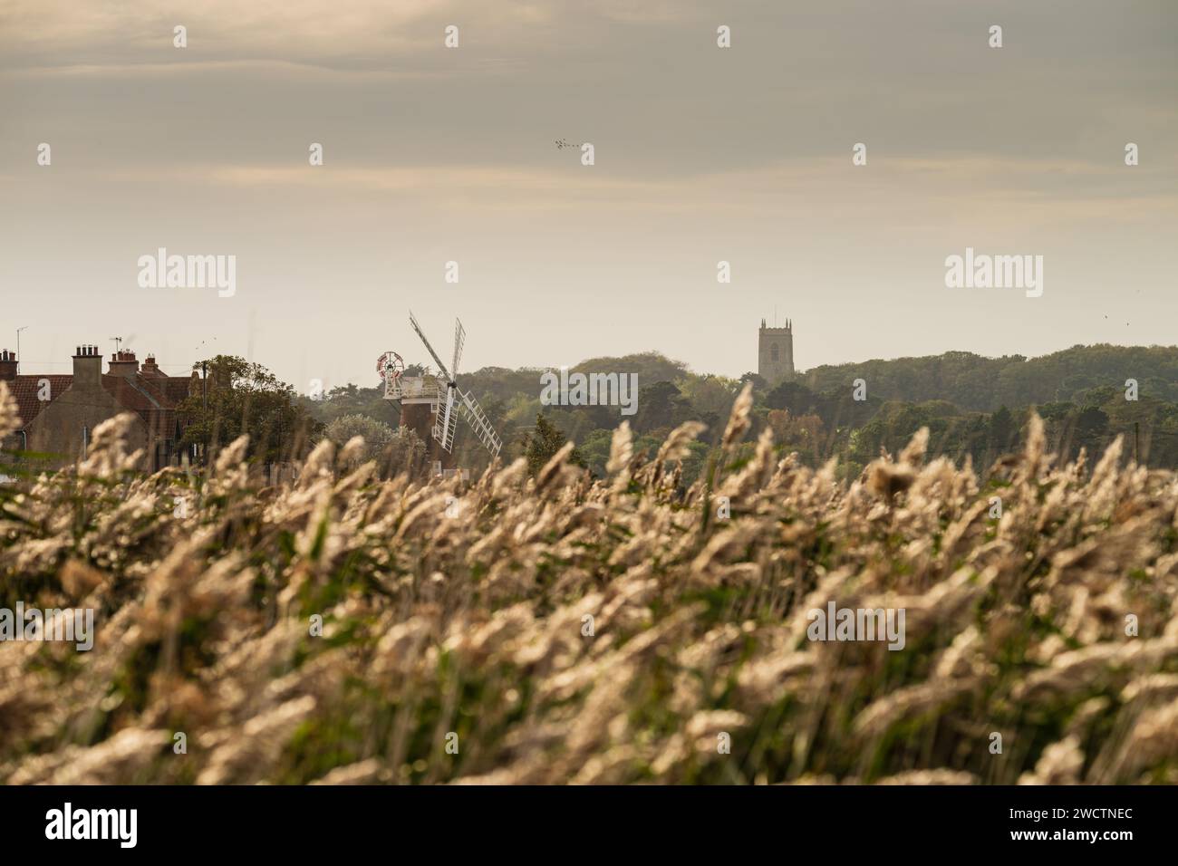 Cley Mill in Cley Next the Sea North Norfolk Coast Cley NWT, Oktober 2023 Stockfoto