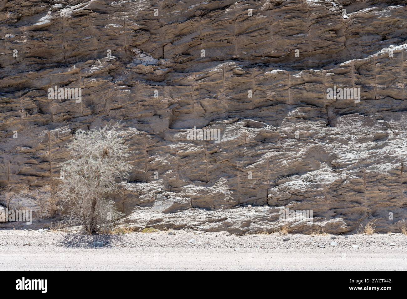 Einsamer Baum und steiler Felskliff in der Wüste Naukluft, aufgenommen im hellen Licht des späten Frühlings am Gaub Pass, Namibia, Afrika Stockfoto