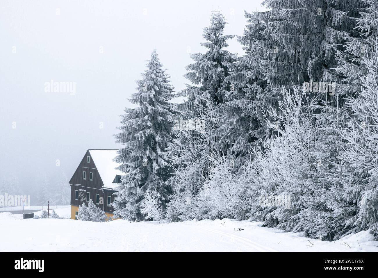 Oberwiesenthal/Fichtelberg - Winter-Idylle wartet auf Gäste: Mehrere Zentimeter Schnee sorgen für perfekte Wintersport-Bedingungen 14.01.2024 Oberwiesenthal, Fichtelberg die Temperaturen liegen auch weiterhin im Minusbereich und das Wetter verspricht sogar noch weitere Schneeflocken in dieser Woche. Die Landschaft rund um den Fichtelberg liegt unter einem zentimeterdicken Schneeschicht, die Bäume ragen schneebedeckt in den nebeligen Himmel. Perfekte Bedingungen für alle Winter-, Ski- oder Landschaftsbegeisterten. Am Wochenende waren Hunderte Besucher auf dem Fichtelberg unterwegs - egal, ob fü Stockfoto