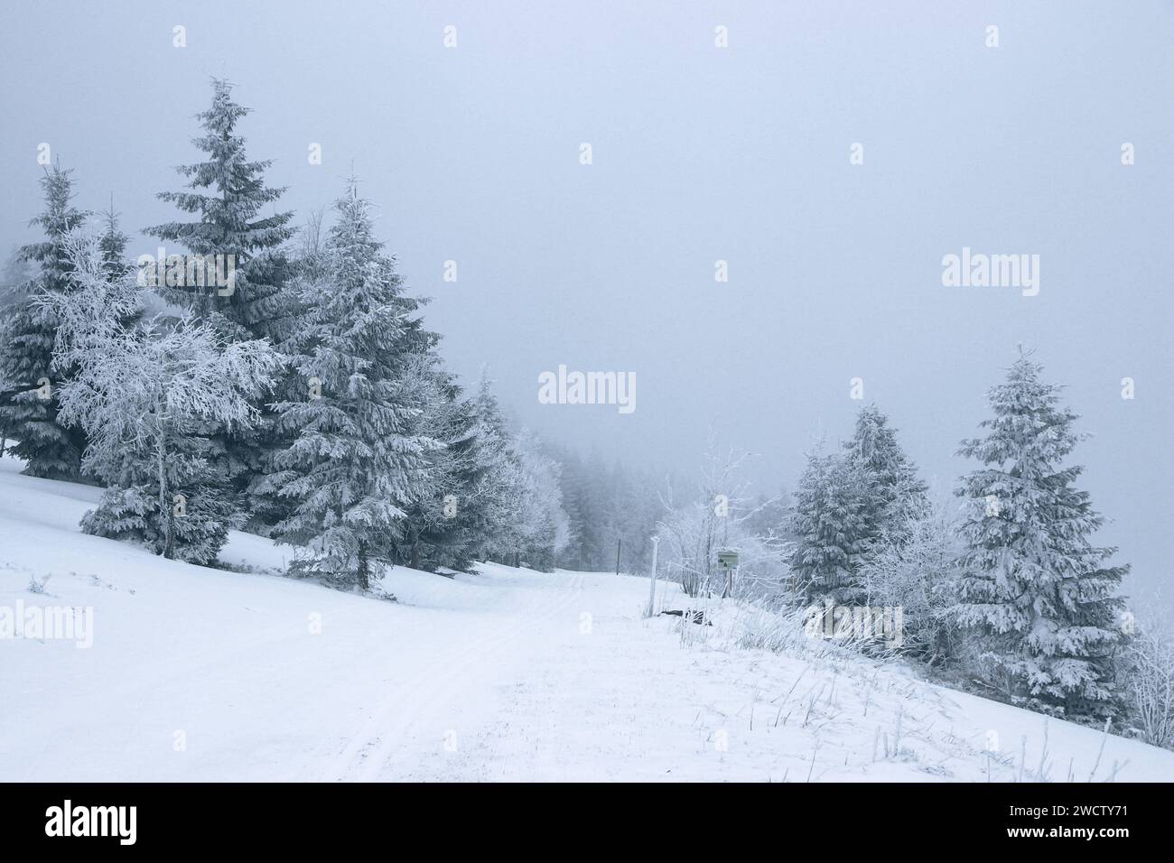 Oberwiesenthal/Fichtelberg - Winter-Idylle wartet auf Gäste: Mehrere Zentimeter Schnee sorgen für perfekte Wintersport-Bedingungen 14.01.2024 Oberwiesenthal, Fichtelberg die Temperaturen liegen auch weiterhin im Minusbereich und das Wetter verspricht sogar noch weitere Schneeflocken in dieser Woche. Die Landschaft rund um den Fichtelberg liegt unter einem zentimeterdicken Schneeschicht, die Bäume ragen schneebedeckt in den nebeligen Himmel. Perfekte Bedingungen für alle Winter-, Ski- oder Landschaftsbegeisterten. Am Wochenende waren Hunderte Besucher auf dem Fichtelberg unterwegs - egal, ob fü Stockfoto