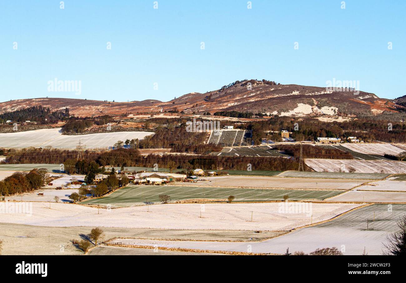 Dundee, Tayside, Schottland, Großbritannien. Januar 2024. Wetter in Großbritannien: Über Nacht schneereich im ländlichen Dundee schafft eine spektakuläre Winterlandschaft in der Januarsonne über den Sidlaw Hills und Strathmore Valley. Quelle: Dundee Photographics/Alamy Live News Stockfoto