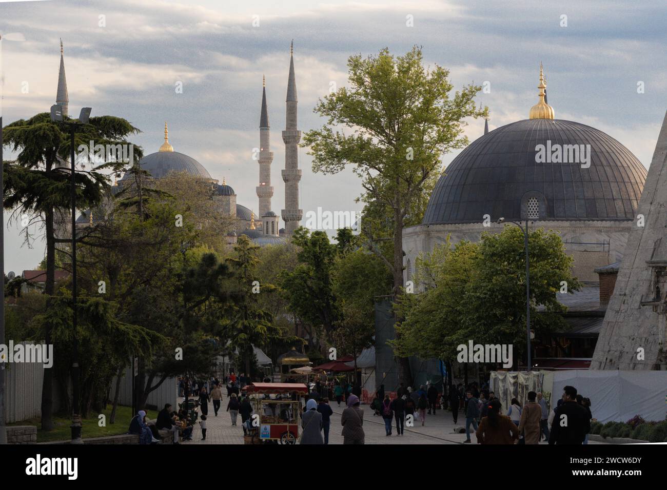 Die Blaue Moschee in Istanbul, auch bekannt als Sultan Ahmed Moschee (Sultan Ahmet Camii), ist eine historische kaiserliche Moschee aus der osmanischen Zeit Stockfoto