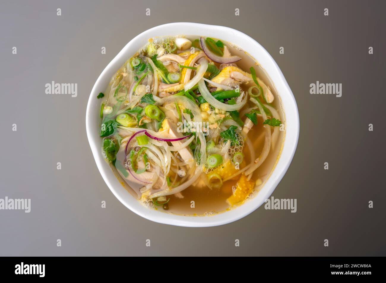 Traditionelle vietnamesische Suppe Pho GA Stockfoto