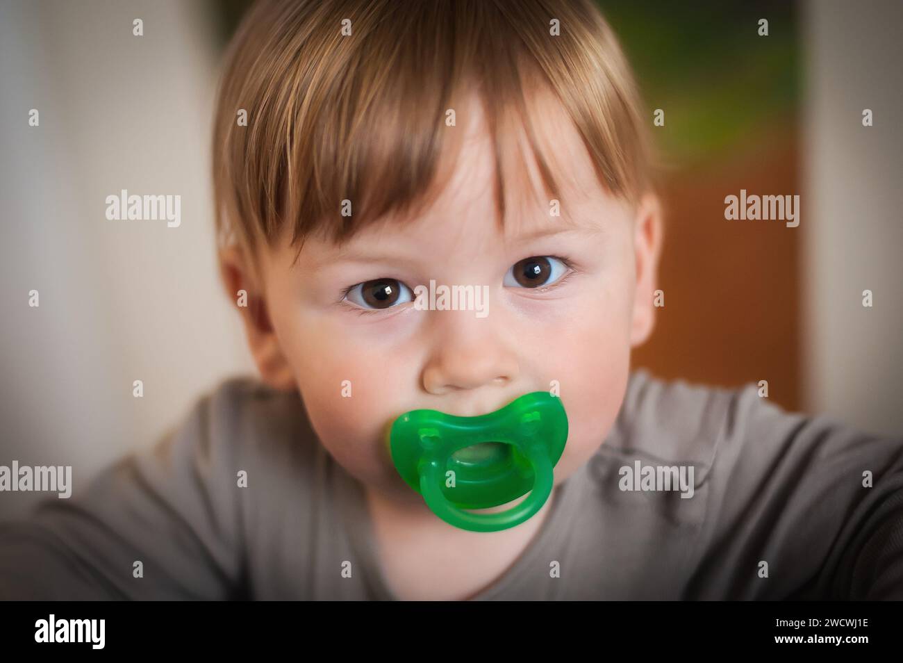 Der süße Junge blickt direkt in die Kamera, die Neugier in seinen Augen, mit einem leuchtend grünen Schnuller im Mund vor einem sanft fokussierten Innenraum Stockfoto