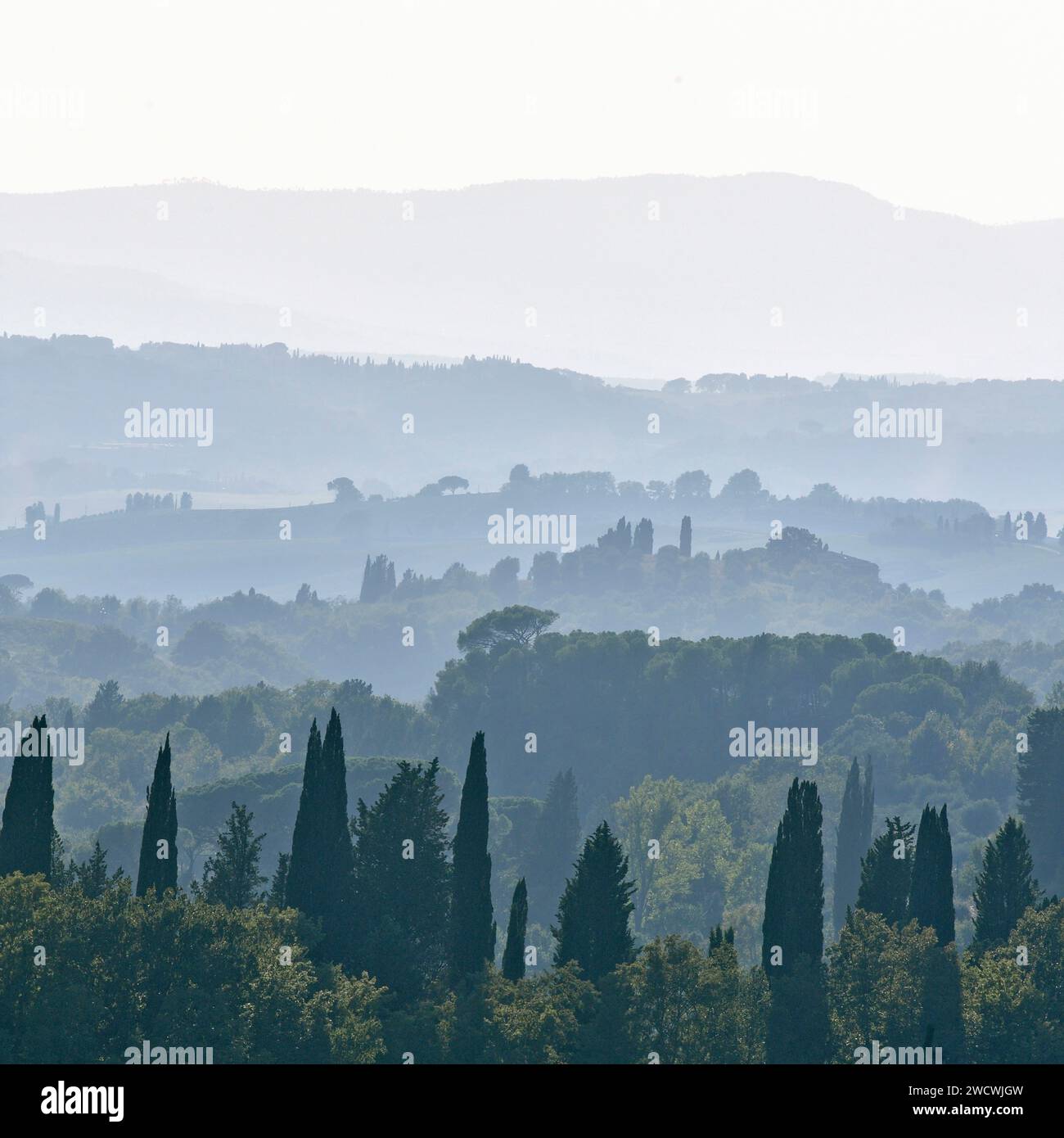 Italien, Toskana, Siena Landschaft, Crete Senesi, Landschaft in der Nähe von Asciano Stockfoto