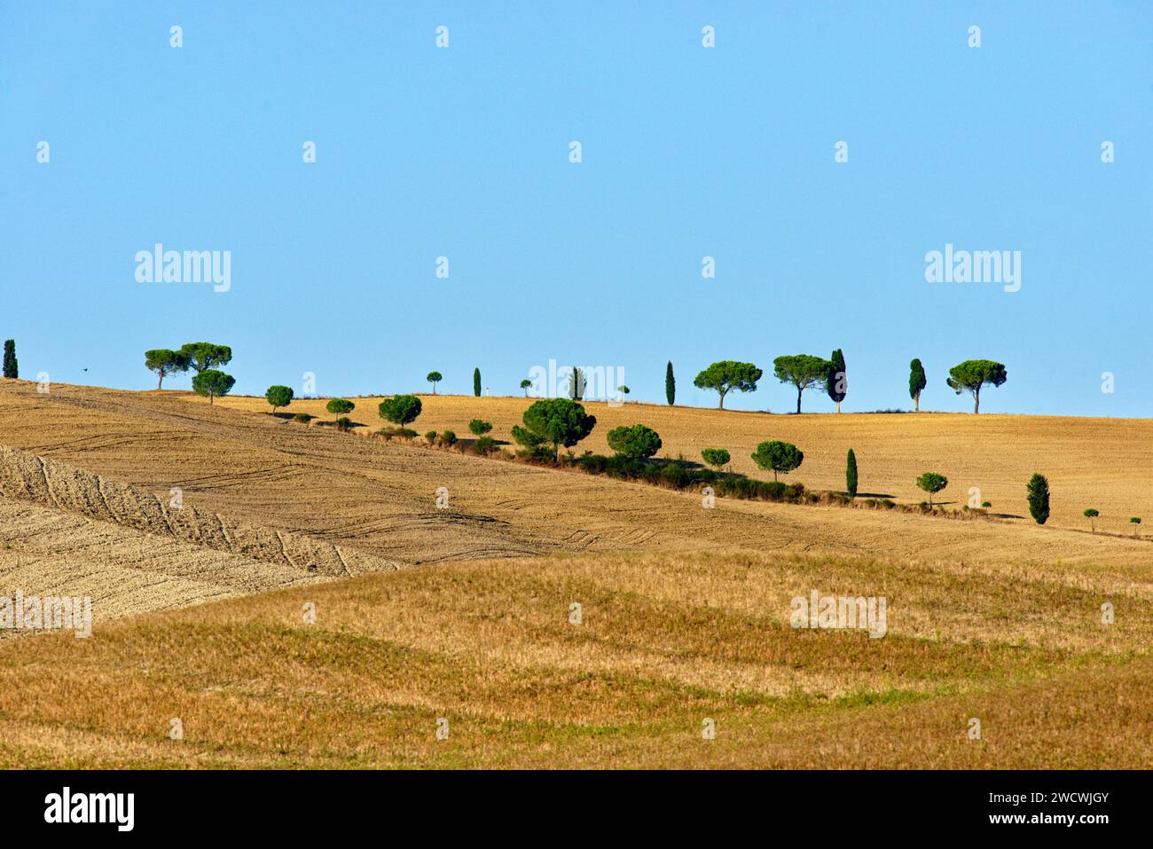 Italien, Toskana, Siena Landschaft, Crete Senesi, Landschaft in der Nähe von Asciano Stockfoto