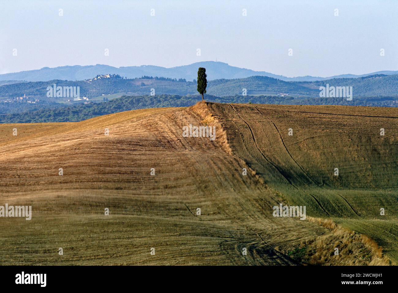 Italien, Toskana, Siena Landschaft, Crete Senesi, Landschaft in der Nähe von Asciano Stockfoto