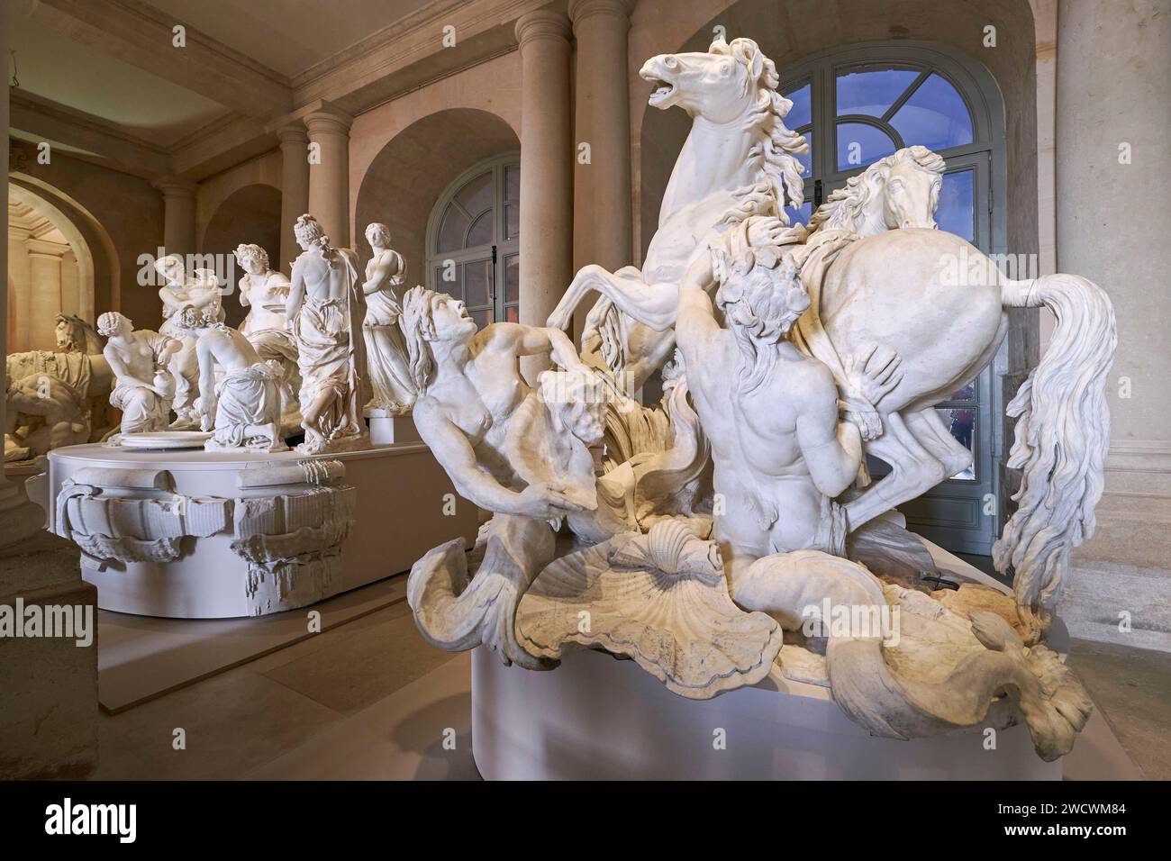Frankreich, Yvelines, Versailles, Schloss von Versailles, das von der UNESCO zum Weltkulturerbe erklärt wurde, Pferde der Sonne, gepflegt von Elchen von Gaspard Marsy und Balthazar Marsy Stockfoto
