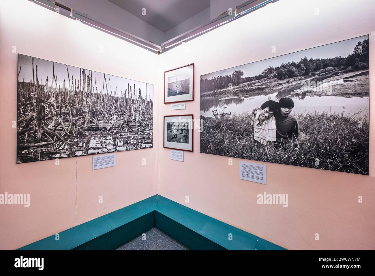 Vietnam, Ho-Chi-Minh-Stadt (Saigon), Bezirk 3, das war Remnants Museum, Bilder der Auswirkungen von Agent Orange Stockfoto