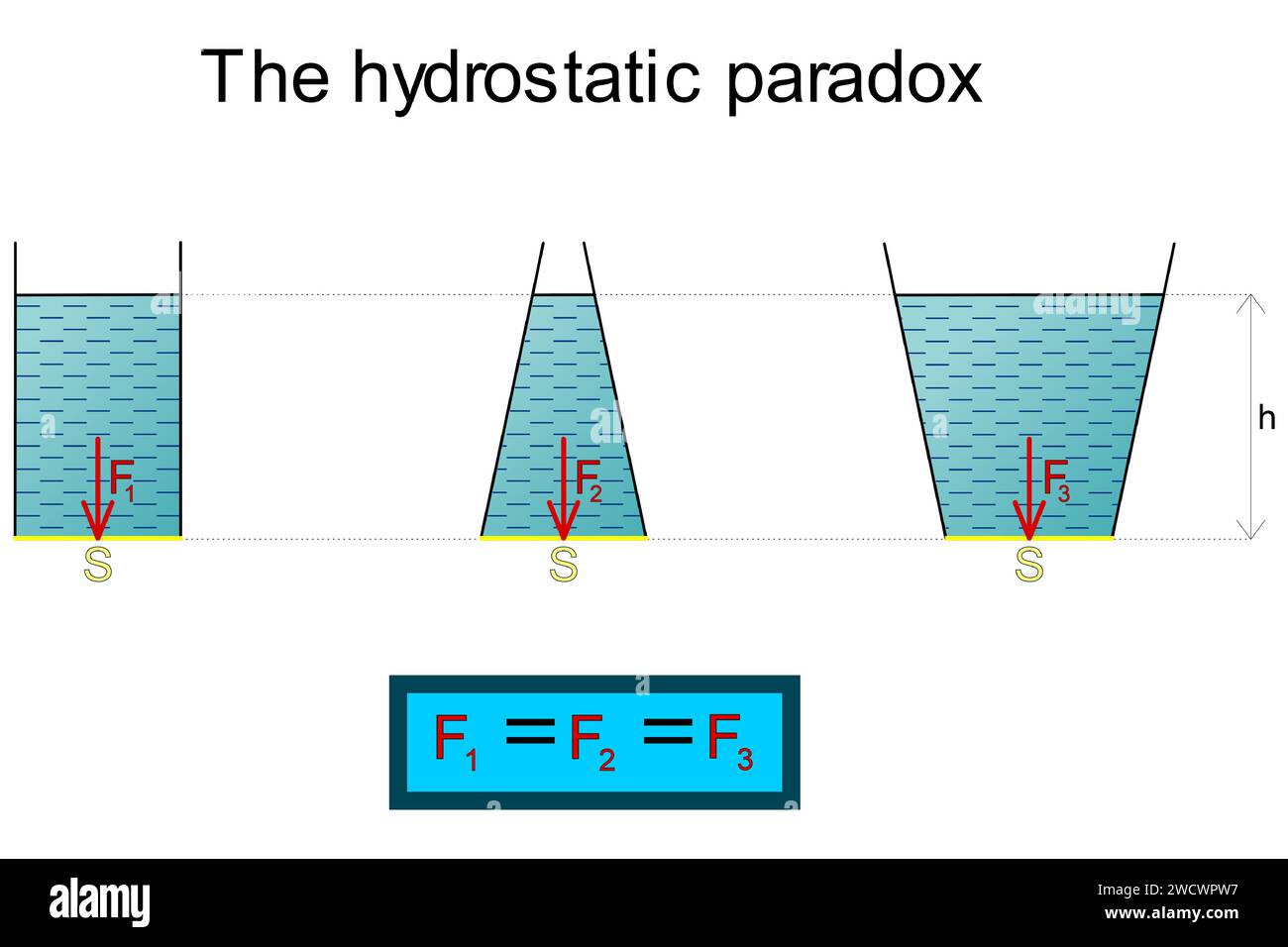 Die graphische Darstellung des hydrostatischen Paradoxons an drei Gefäßen mit einer Flüssigkeit unterschiedlicher Form und unterschiedlicher Volumina, der hydrostatischen Kompression Stock Vektor