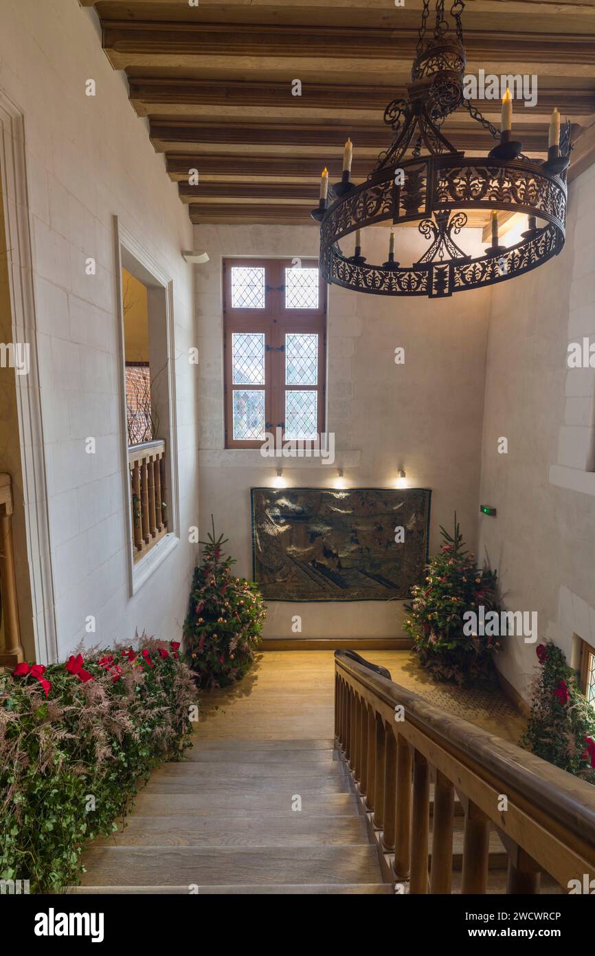 Frankreich, Indre-et-Loire (37), Amboise, Region Centre Loiretal, Schlösser im Loire-Tal, Weltkulturerbe Loire-Tal, Schloss Clos Lucé, Leonardo da Vinci Park (letzte Heimat von Léonard de Vinci) Stockfoto