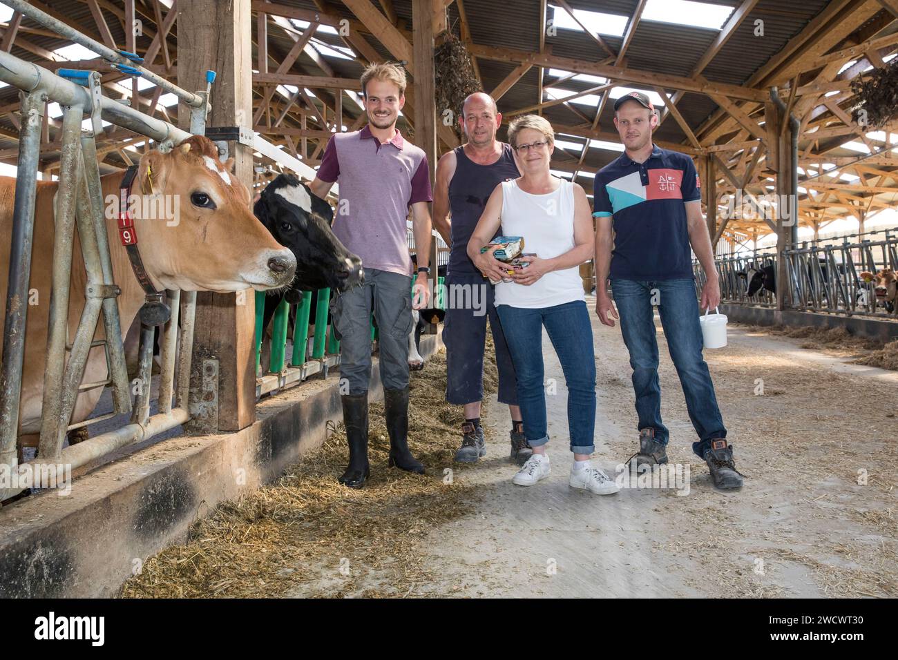 Frankreich, Indre et Loire, Neuilly-le-Brignon, Käserei Maurice, Familie von Züchtern und Erzeugern von Milcherzeugnissen Stockfoto
