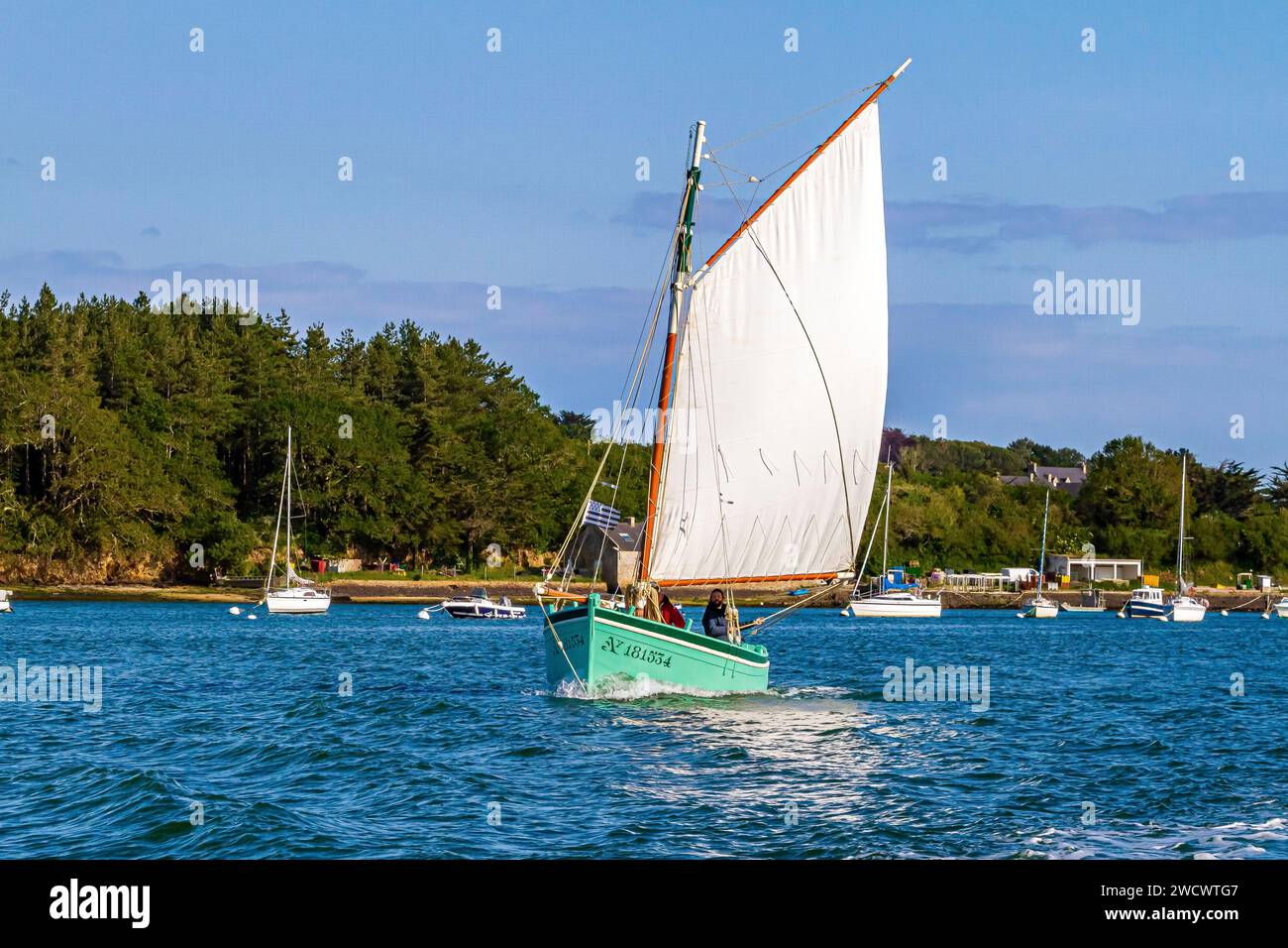 Frankreich, Morbihan, Golf von Morbihan, alles ist in Ordnung, gehörnter sloup, letztes Segelboot im Golf, Ausgabe der Golfwoche 2023 Stockfoto