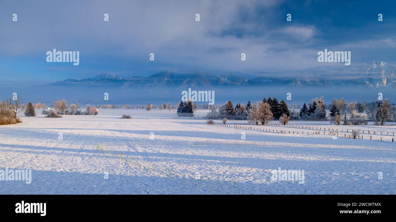 Winterlandschaft im bayerischen Voralpenland, bei Kochel am See, Bayern, Deutschland Stockfoto