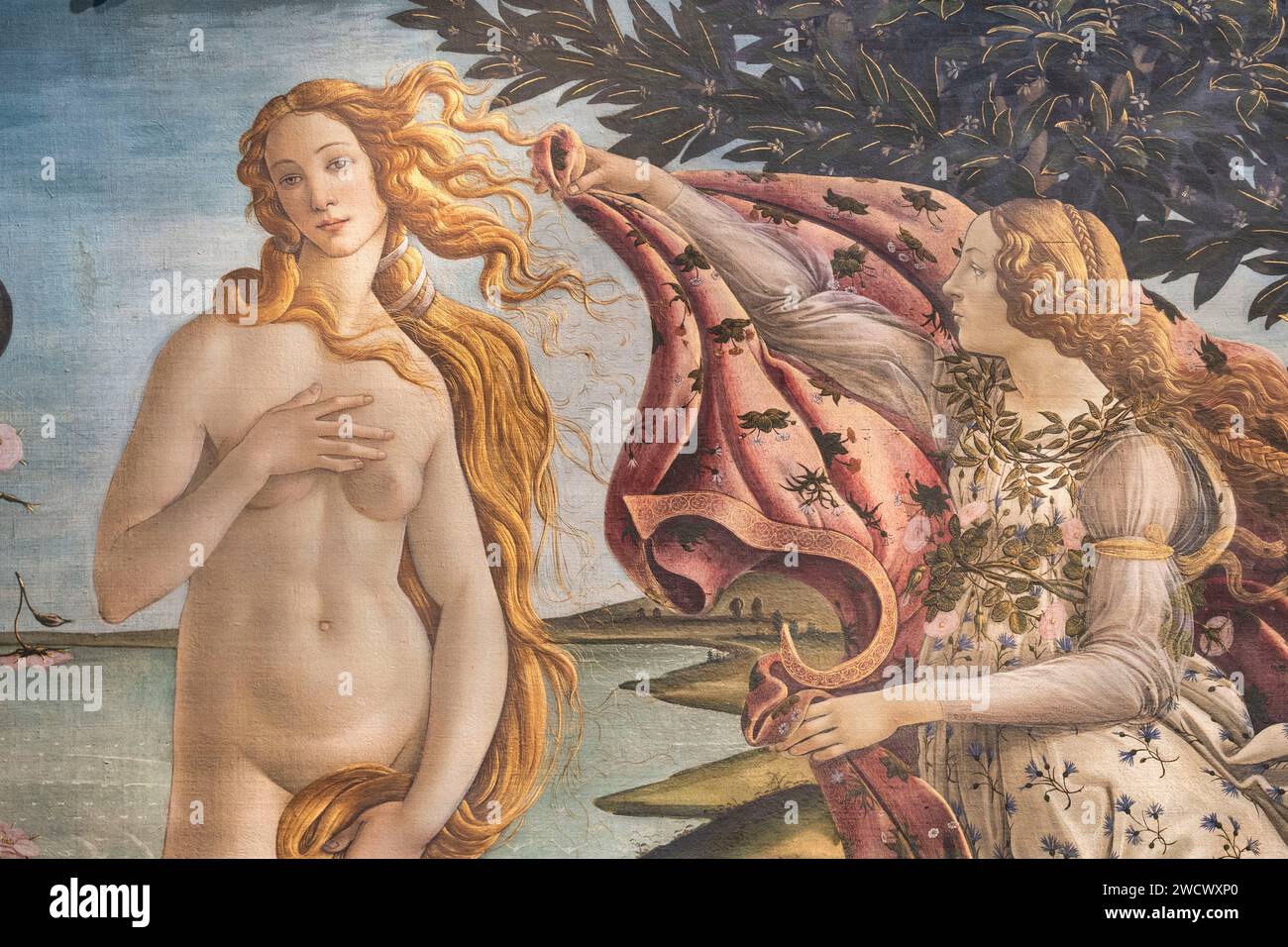Italien, Toskana, Florenz, Galleria degli Uffizien, „die Geburt der Venus“ von Sandro Botticelli Stockfoto