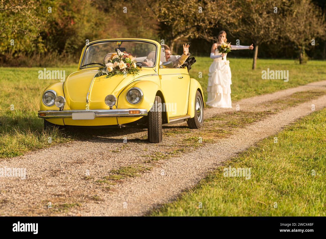 Lustige, ungewöhnliche, stilvolle, originelle Fotos mit Rollenumkehr eines jungen, attraktiven Brautpaares mit wunderschönen Veteranenautos in der Natur. Stockfoto