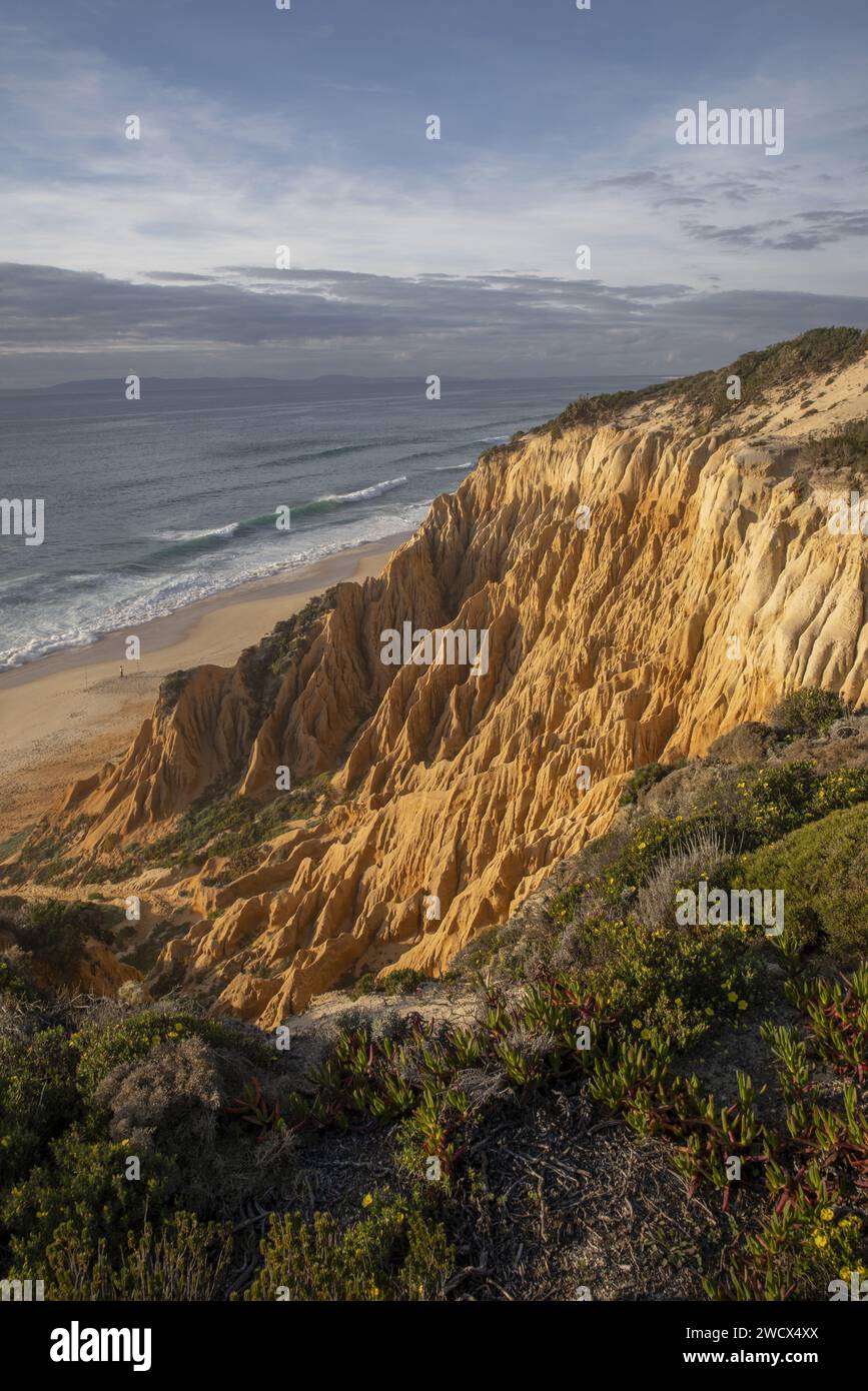 Portugal, Alentejo, Gale Fontainhas Beach, ockerfarbene, fossile Klippen, die fünf Millionen Jahre alt sind und erodierte Formen haben, die einen langen Strand mit Blick auf den Atlantik bieten Stockfoto