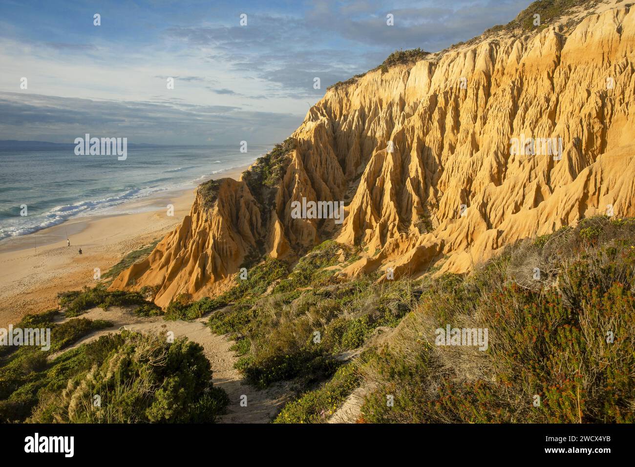 Portugal, Alentejo, Gale Fontainhas Beach, ockerfarbene, fossile Klippen, die fünf Millionen Jahre alt sind und erodierte Formen haben, die einen langen Strand mit Blick auf den Atlantik bieten Stockfoto