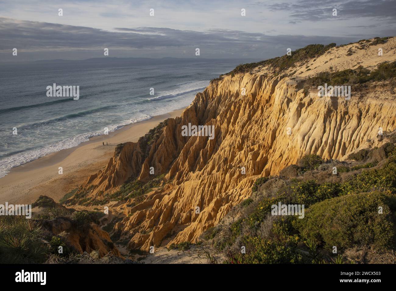 Portugal, Alentejo, Gale Fontainhas Beach, ockerfarbene, fossile Klippen, die fünf Millionen Jahre alt sind und erodierte Formen haben, die einen langen Strand mit Blick auf den Atlantik bieten Stockfoto