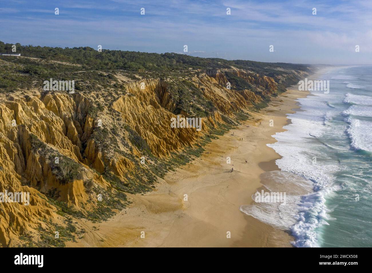 Portugal, Alentejo, Gale Fontainhas Beach, aus der Vogelperspektive auf ockerfarbene fossile Klippen mit erodierten Formen mit Blick auf einen langen Strand mit Blick auf den Atlantik Stockfoto