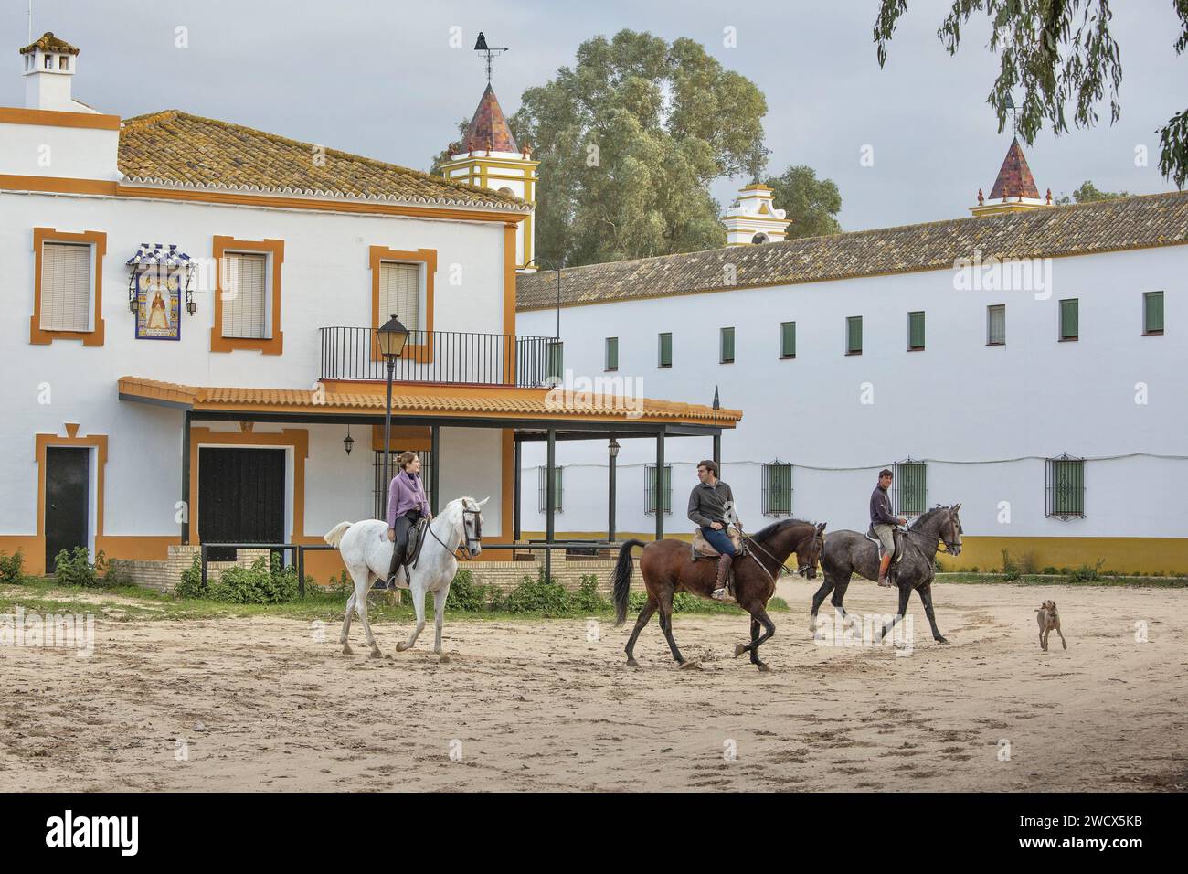 Spanien, Andalusien, El Rocío, junge Reiter zu Pferd in einer Sandstraße gesäumt von Hermandaden, die Häuser katholischer Bruderschaften Stockfoto