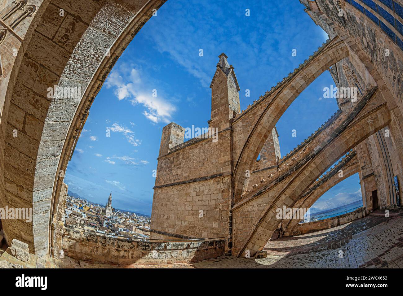 Terrasse der Kathedrale Santa Maria von Palma oder La Seu, eine gotische römisch-katholische Kathedrale in Palma, Mallorca, Spanien. Stockfoto