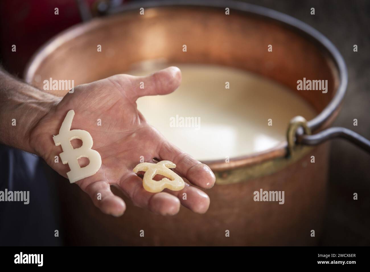Frankreich, Pyrenäen Atlantiques, Béarn, Ossau-Tal, Laruns, Pont de Camps, ein Ort namens Las Quebes, Hirte, die Sommertomen machen, Hirtensiegel Stockfoto