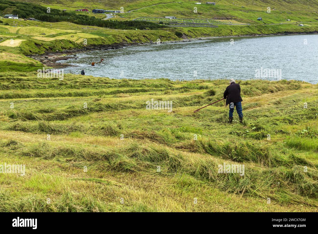 Dänemark, Färöer, Insel Borðoy, Klaksvik, Heuschnitt Stockfoto