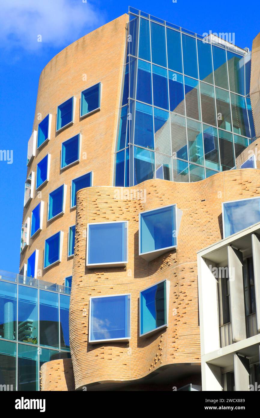 Australien, New South Wales, Sydney, University of Technology Sydney (UTS), Dr Chau Chak Wing Building (2014), entworfen von Frank Gehry Stockfoto