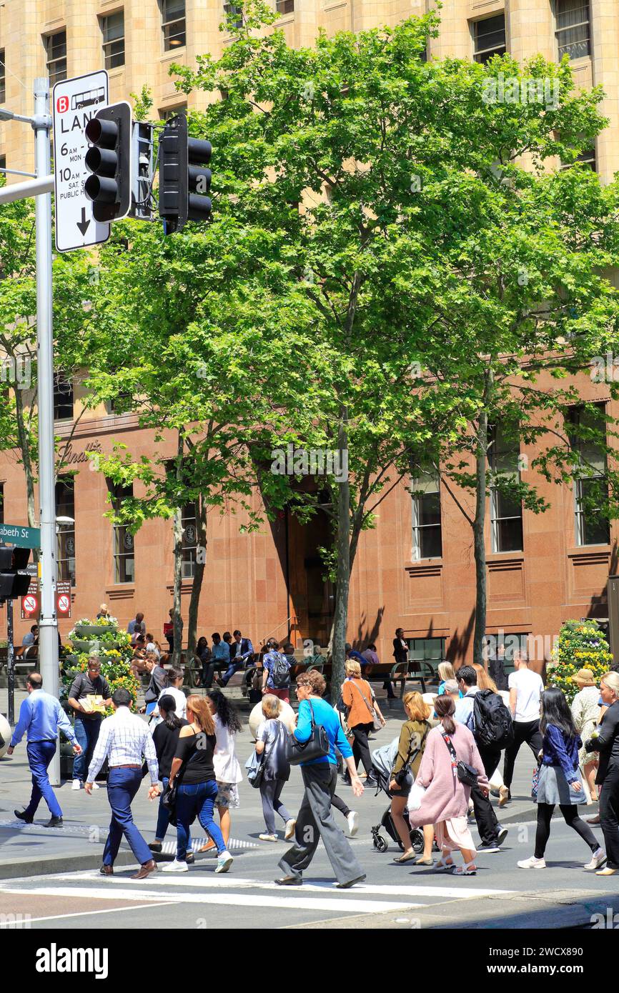 Australien, New South Wales, Sydney, Central Business District (CBD), Martin Place, Fußgängerüberquerung Stockfoto