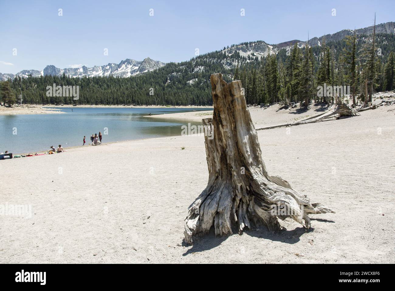 USA, California, Mammoth Lakes Stockfoto