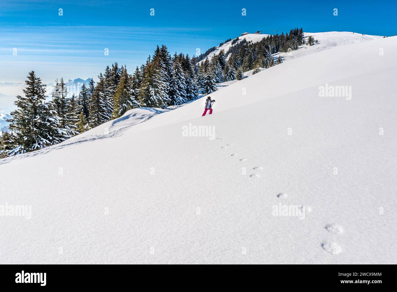 Frankreich, Auvergne-Rhône-Alpes, Savoie (Departement 73), Hauteluce, Wintersportort Les Saisies, Schneeschuhwandern Stockfoto