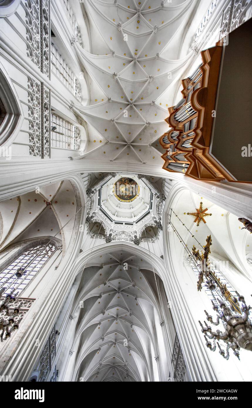 Innenansicht, Kathedrale unserer Lieben Frau, cathédrale Notre-Dame, Antwerpen, Flandern, Belgien, Europa Stockfoto