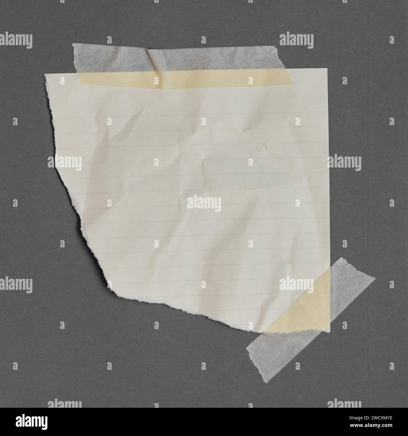 Regel zerrissenes Papier mit Klebeband, Papierfetzen auf Klebeband, grauer Hintergrund. Stockfoto