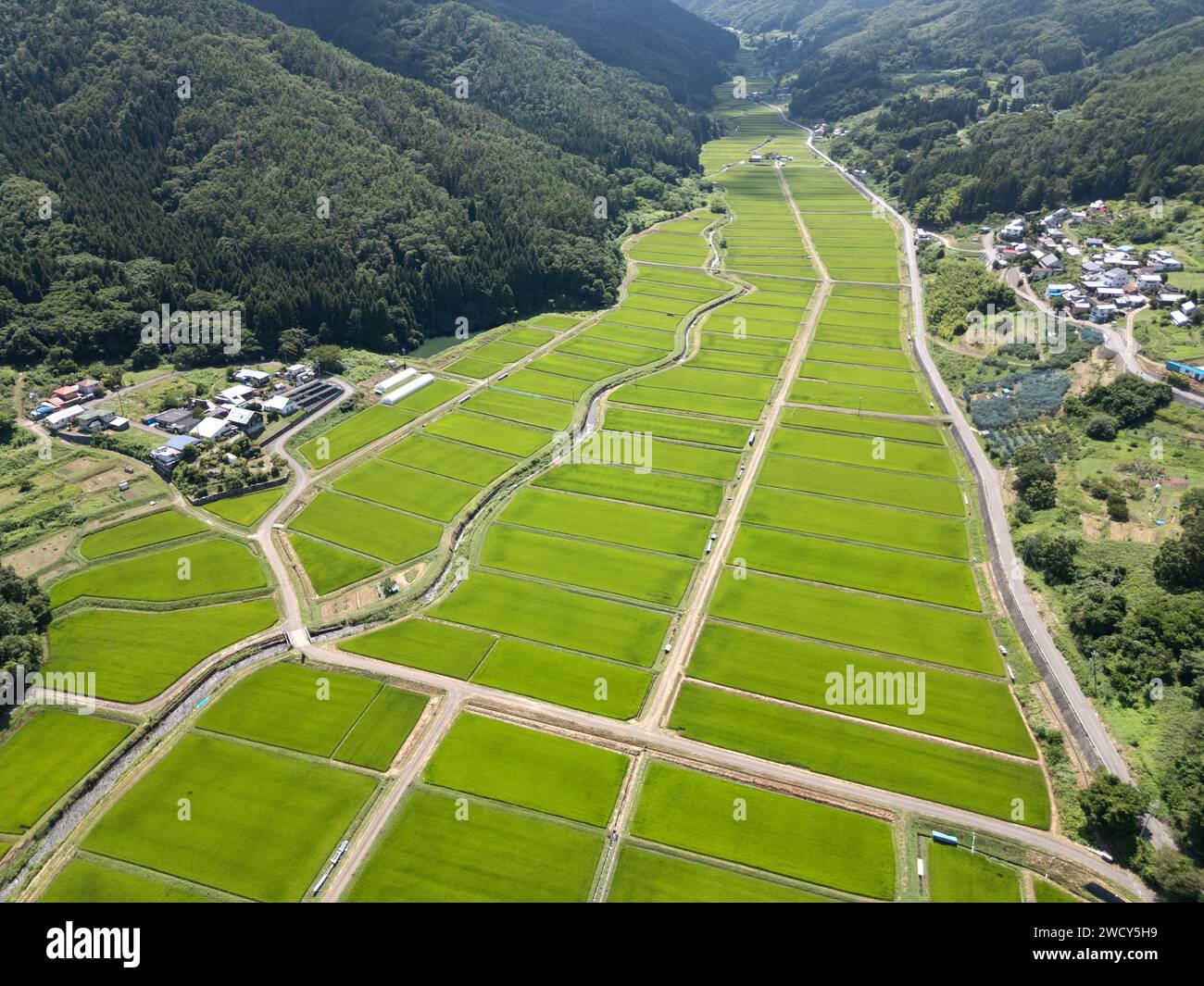 Präfektur Nagano, Japan auf den ländlichen Tanokuchi-Reisterrassen. Stockfoto