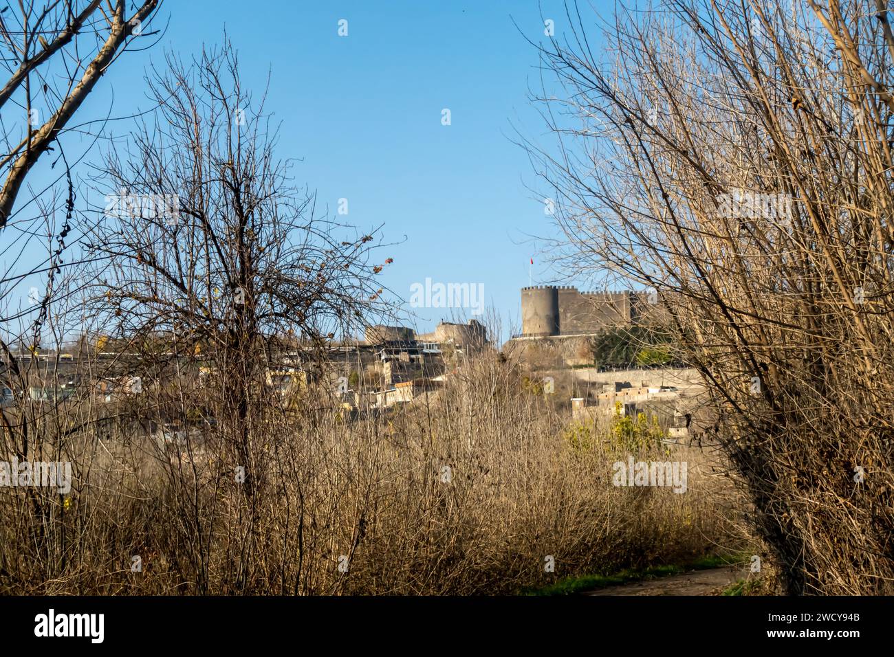 Schloss Diyarbakir ein Blick vom Feld durch die kargen Bäume im Winter Diyarbakir Türkei Stockfoto