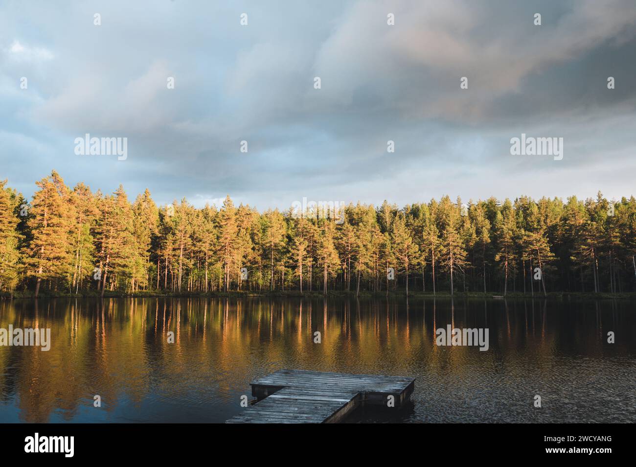 Schwedische Landschaft Stockfoto