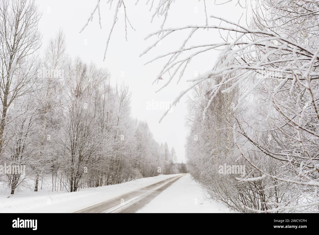 Straße und Bäume im Schnee bei bewölktem Wetter Stockfoto