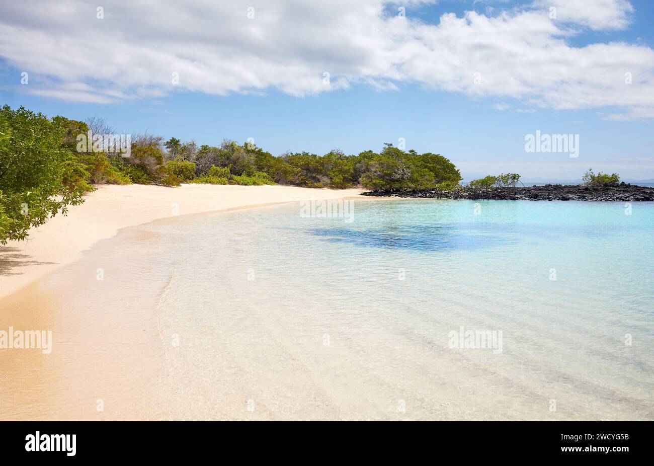 Foto von einem unberührten Strand, Galapagos Inseln, Ecuador. Stockfoto