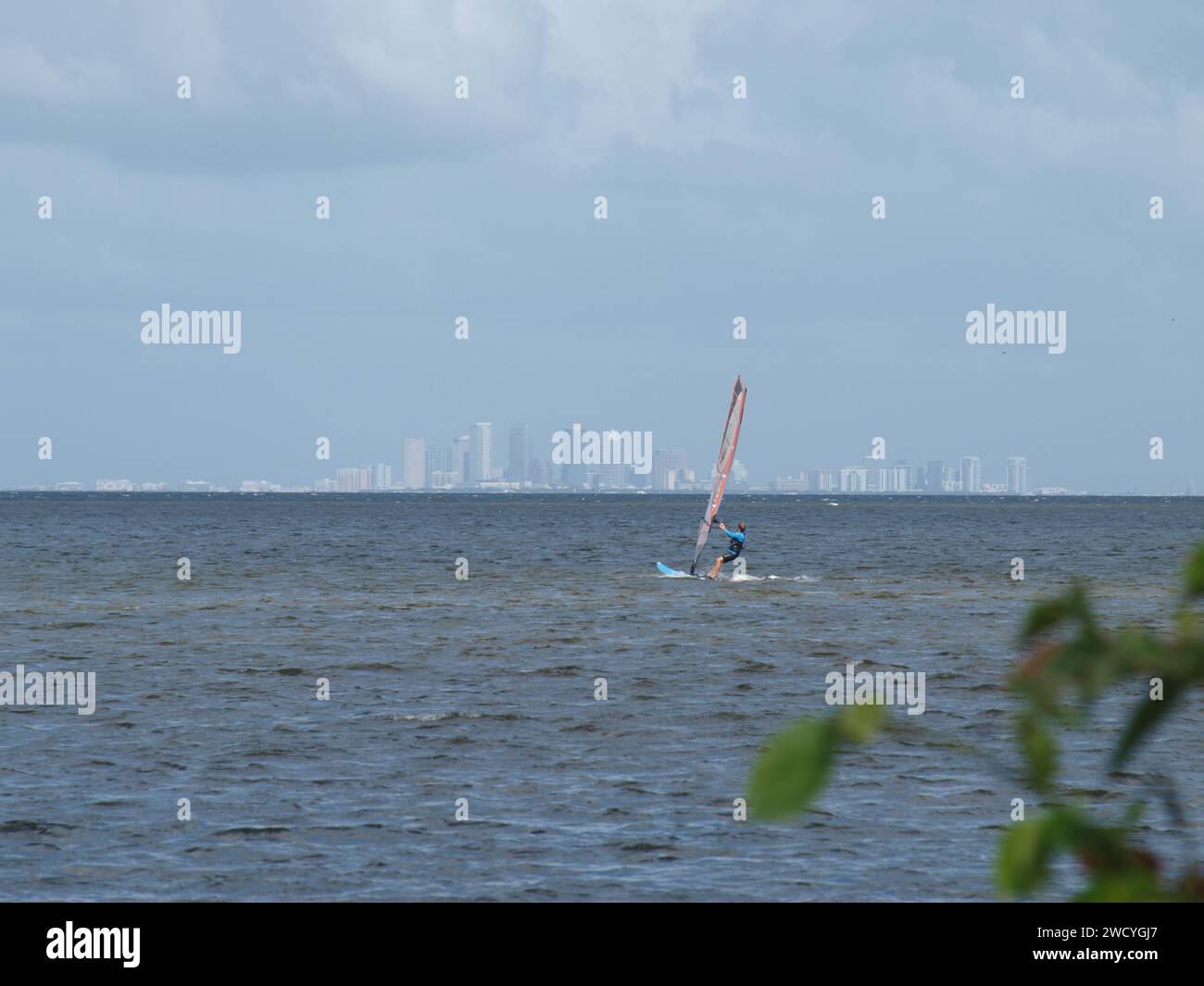 Tampa Bay, Florida, USA - 2. November 2022: Windsurfer in der Bucht mit Downtown Tampa im Hintergrund. Stockfoto