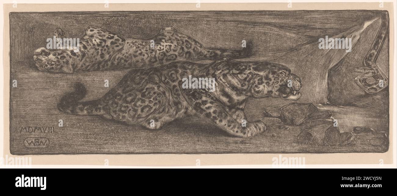Jaguare, Bernard Willem Wierink, 1908 bedruckte Raubtiere, Raubtiere. Schlangen Stockfoto