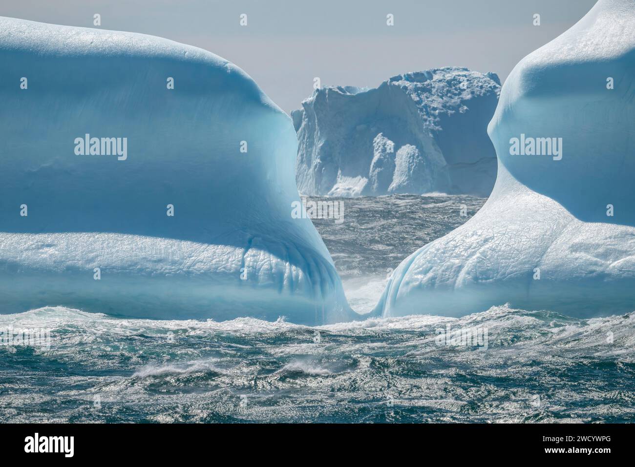 Eisberge in St.. Andrews Bay, verschiedene Formen, große Blöcke, geformt von Wellen auf der Reise aus der Antarktis, zahlreich wegen des Abbruchs von Schelfeis Stockfoto