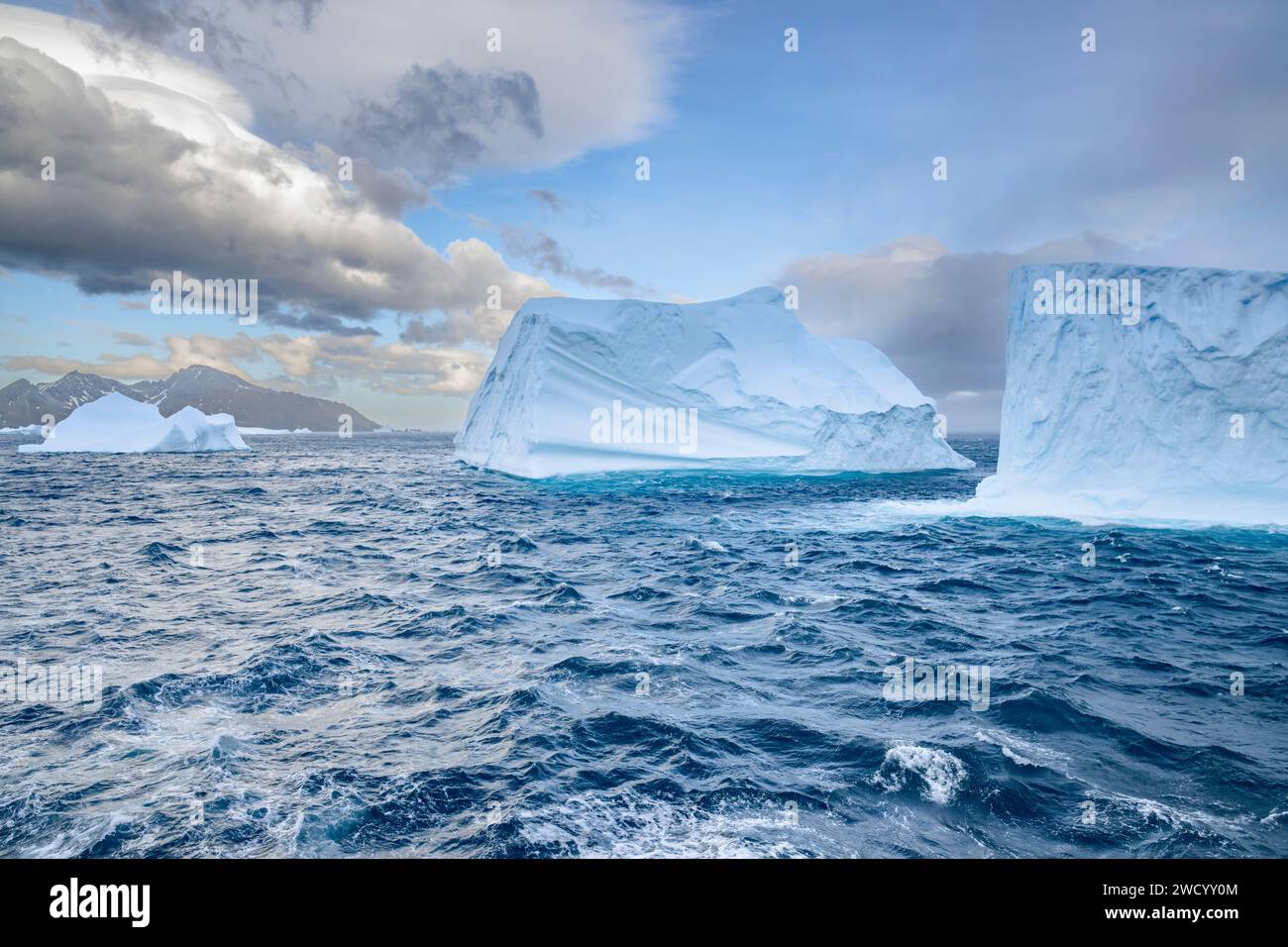 Eisberge in Cooper Bay und Drygalski Fjord, South Georgia Island, zahlreich aufgrund des Abbruchs des antarktischen Schelfeises, der von Wellen auf der Reise geformt wurde Stockfoto