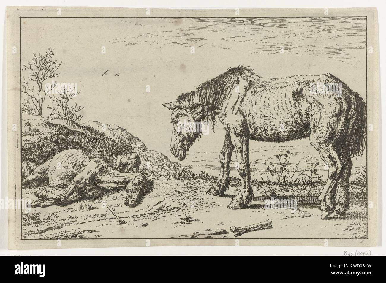 Das sterbende Pferd, Anonym, nach Paulus Potter, 1652–1702 Druckpapier, das Pferde und verwandte Tiere ätzt. Tiere (+ sterbendes Tier; Tod des Tieres; totes Tier) Stockfoto