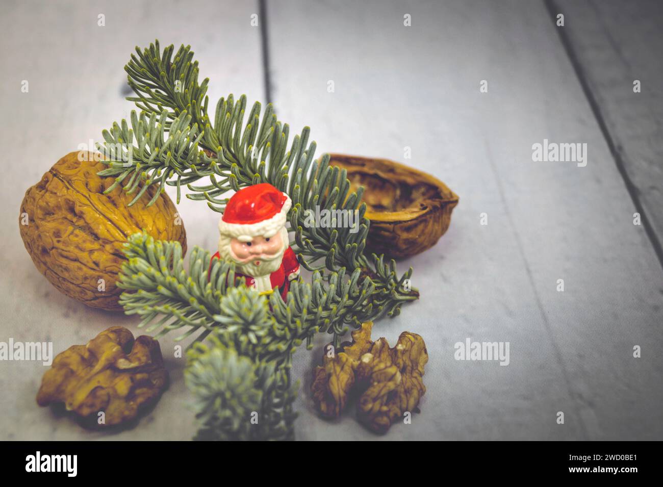 Walnuss (Juglans regia), Walnüsse mit Tannenzweigen und Weihnachtsmann Stockfoto