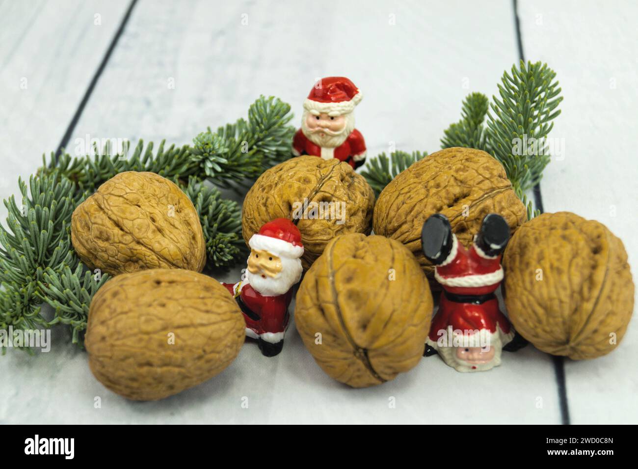 Walnuss (Juglans regia), Walnüsse mit Tannenzweigen und Weihnachtsklauseln Stockfoto