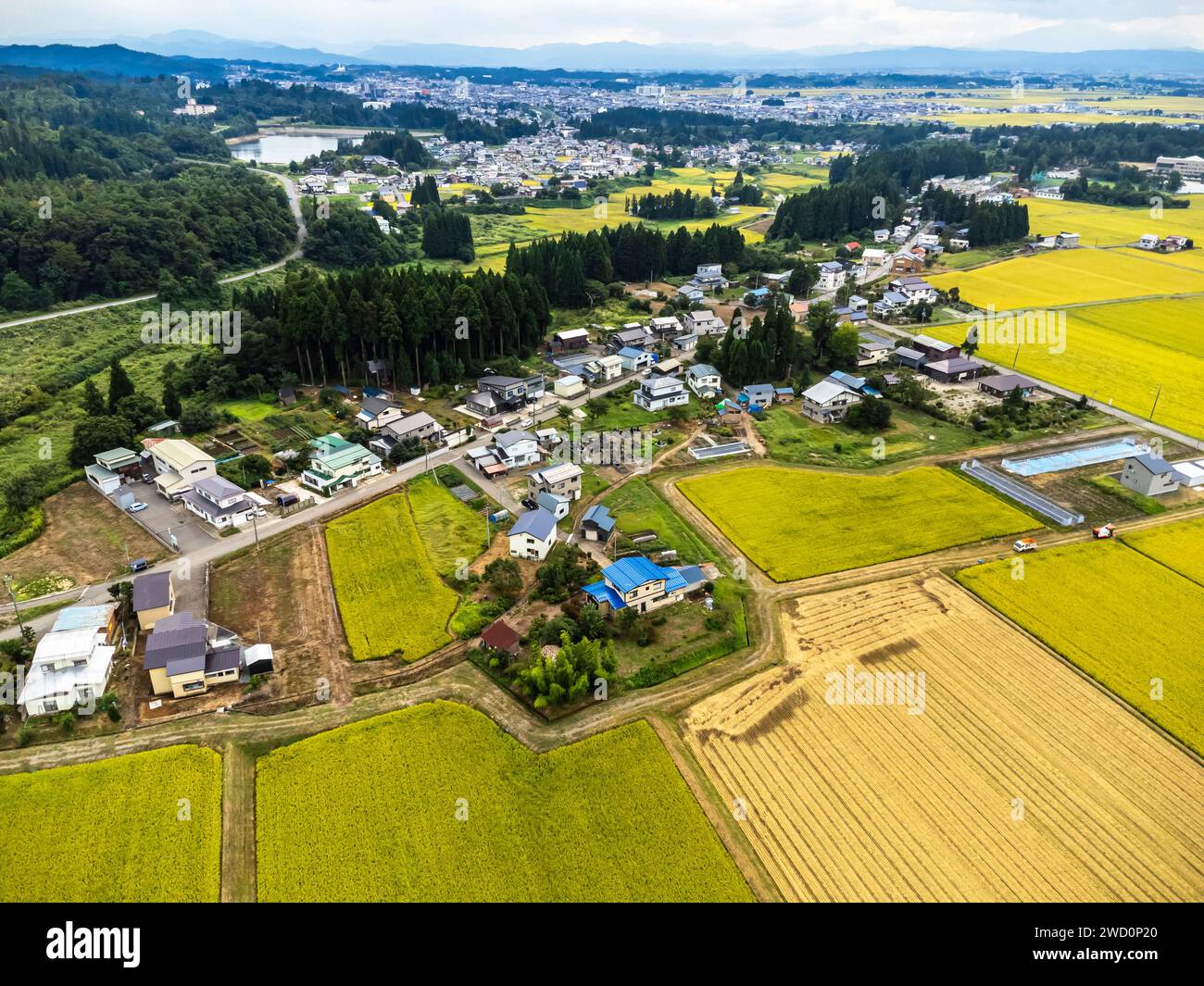 Reisfeld, gelbe Farbe der Herbsternte, Fuß der Berge, Drohne Luft, Yokote Stadt, Akita, Tohoku, Japan, Ostasien, Asien Stockfoto