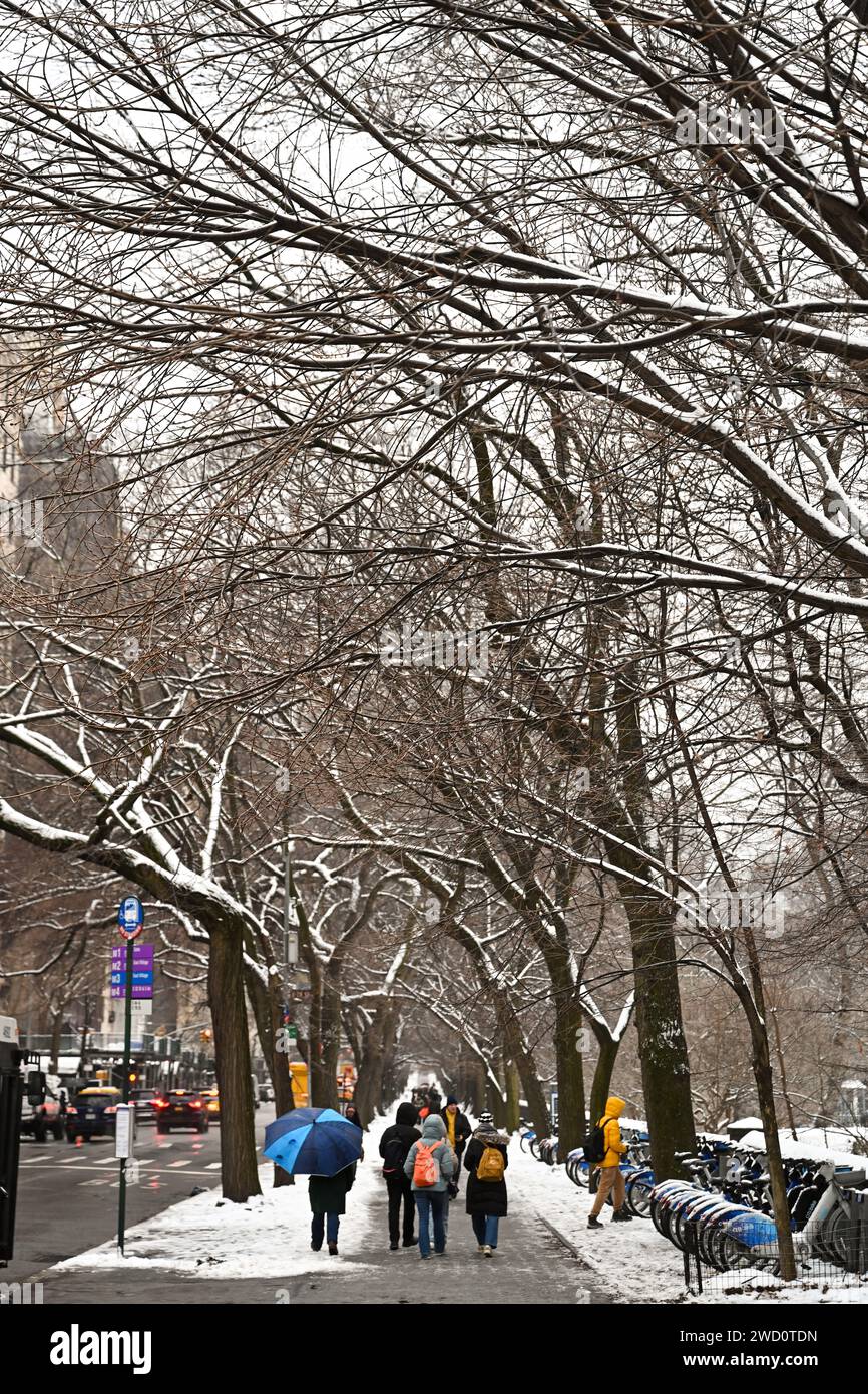 Die Menschen laufen im Central Park, während New York City am 16. Januar 2024 in New York City eine zweijährige Strecke ohne Schnee durchbricht. Stockfoto